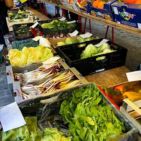 公寓 Unesco Queen Bed & Fast Wifi