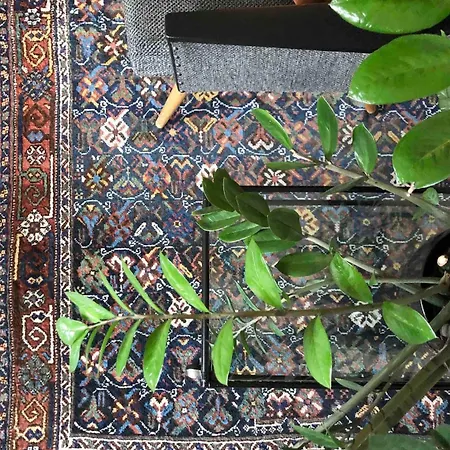 Unesco Queen Bed & Fast Wifi *