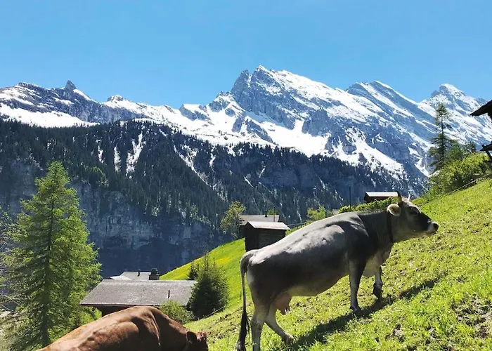 Unesco Queen Bed & Fast Wifi Lejlighed