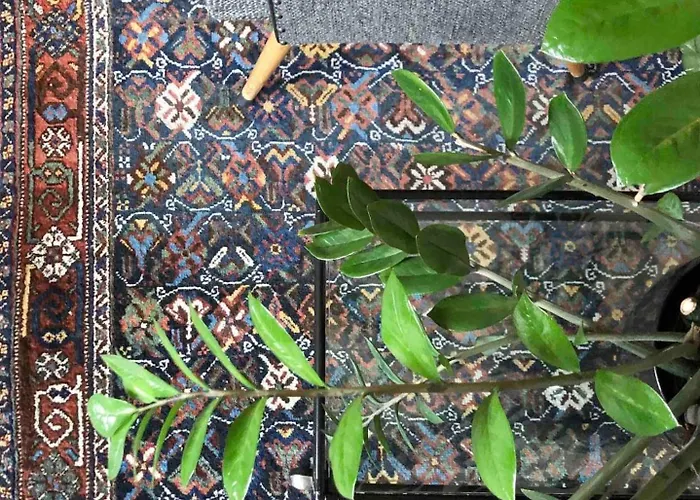 Unesco Queen Bed & Fast Wifi *